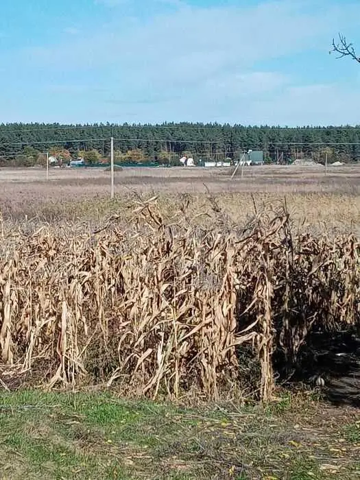 Хороший участок для ведения сельського хозяйства в Полтавском районе 