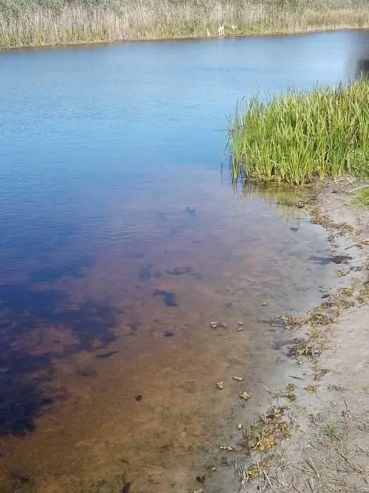 Хороший участок для ведения сельського хозяйства в Полтавском районе 