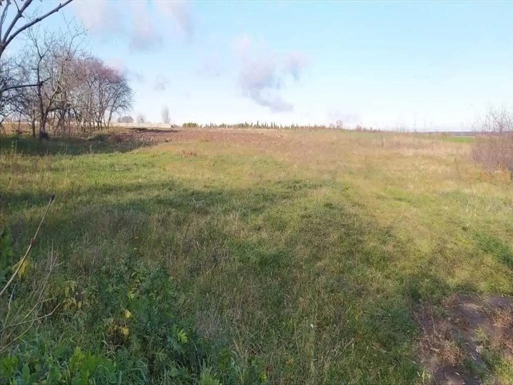 Ділянка в Супрунівці