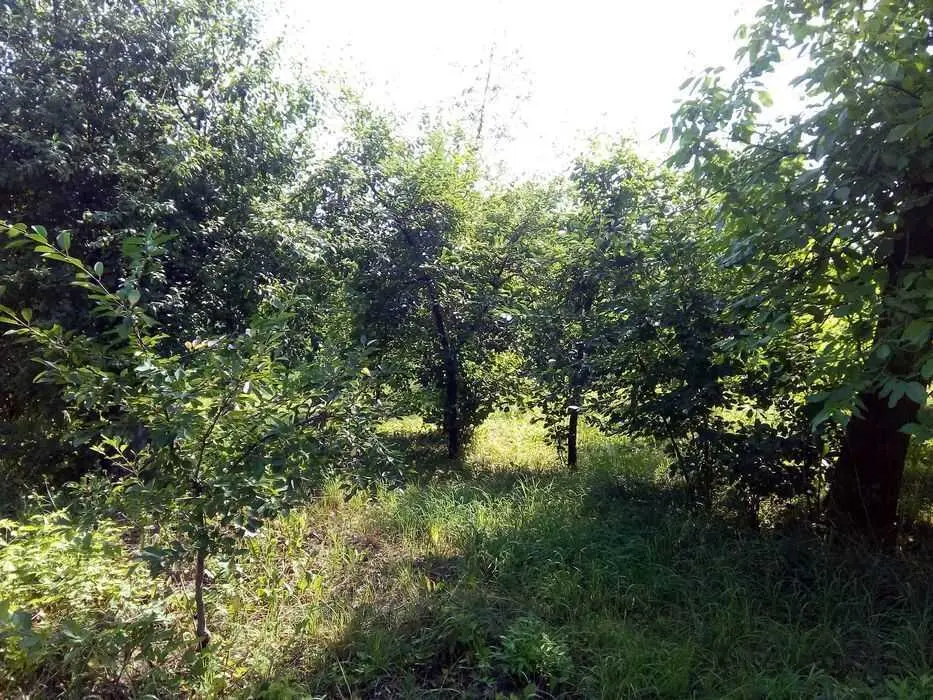 Дача в Кротенках