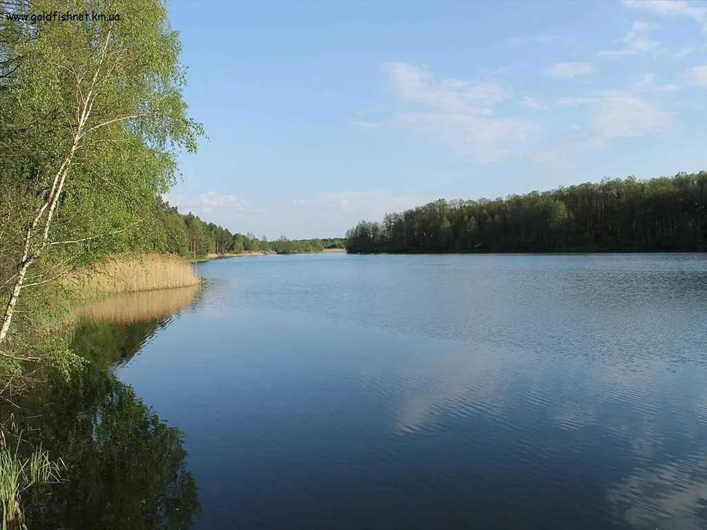 Велика ділянка поблизу водойми!