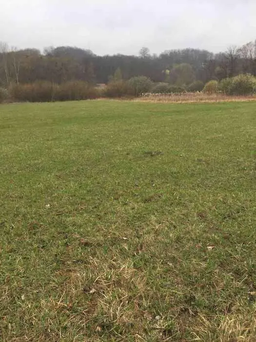 Земельна ділянка для ведення власного сільського господарства