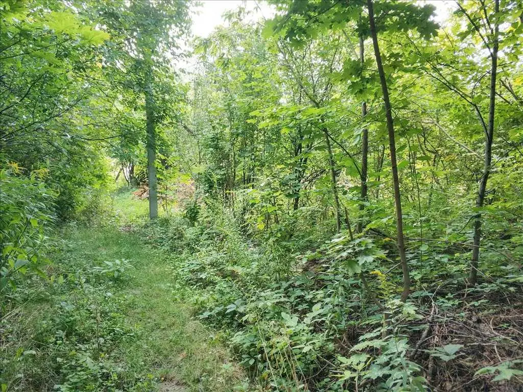 Земельна ділянка в Дендропарку!