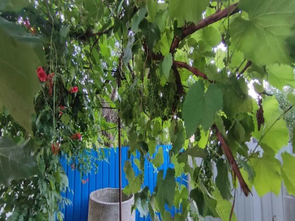 Гарний будинок у передмісті Полтави