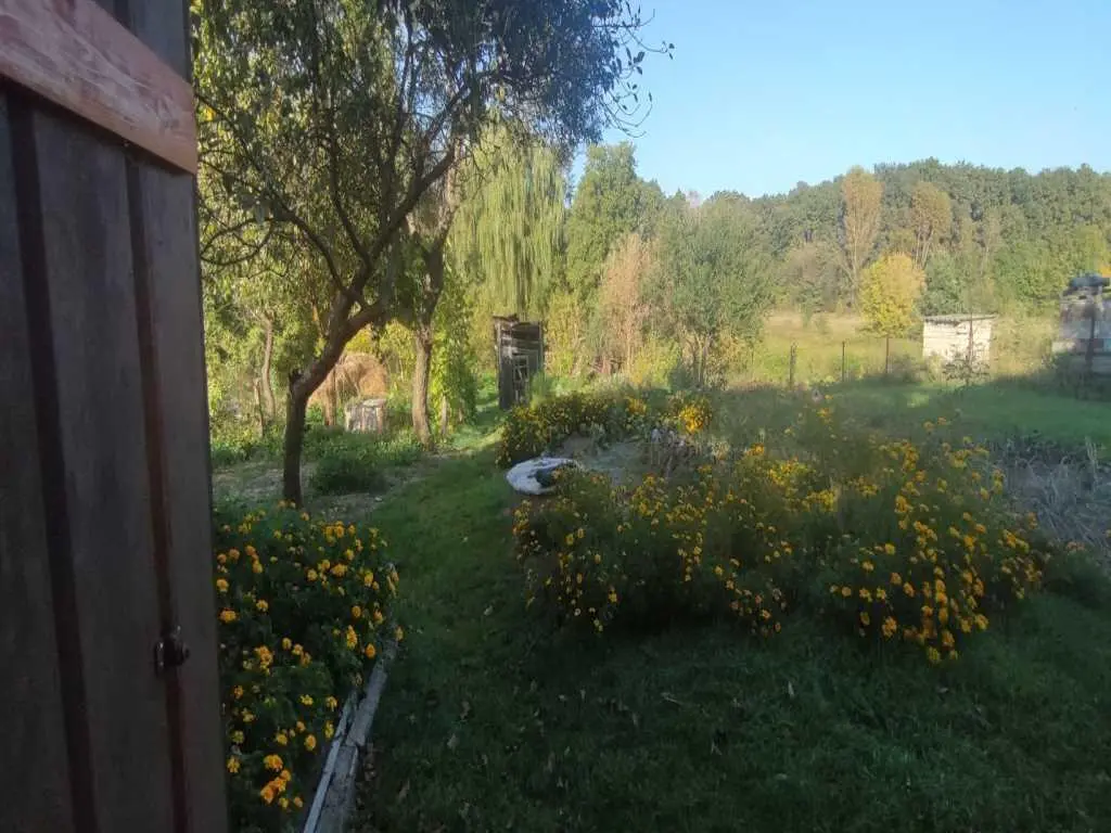 Гарний будинок у передмісті Полтави