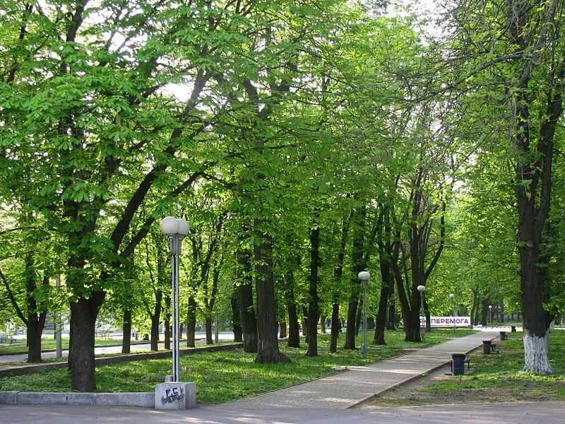 Земельна ділянка у центрі міста, парк Перемоги.