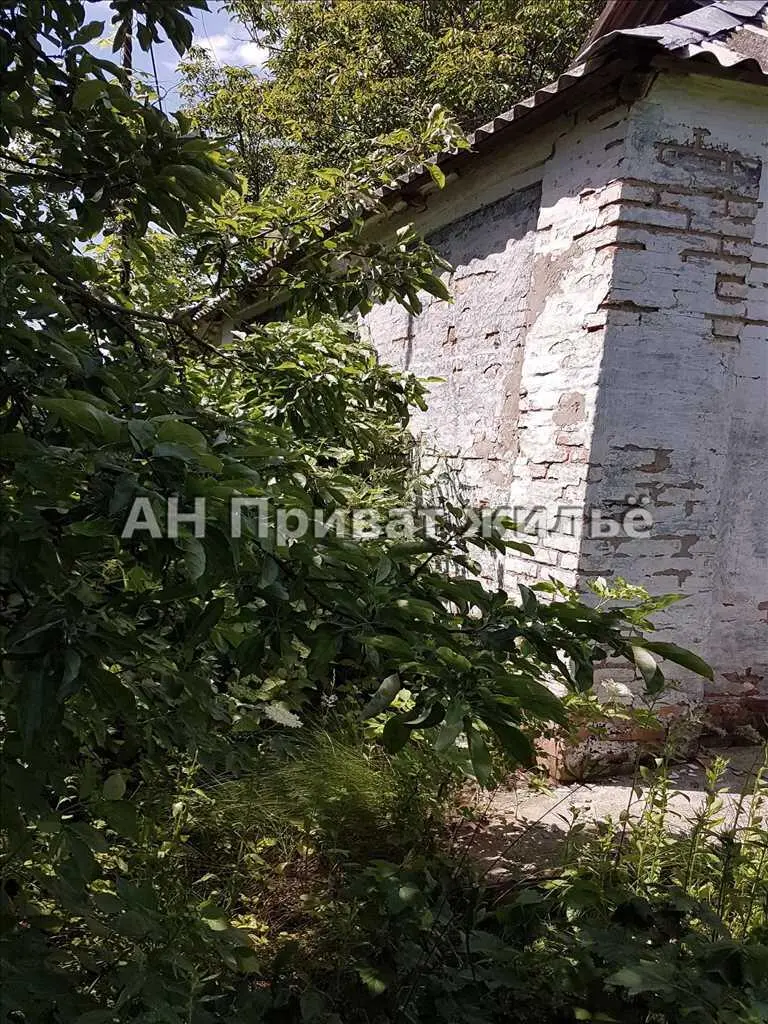 Окремий будинок в селі Бричківка