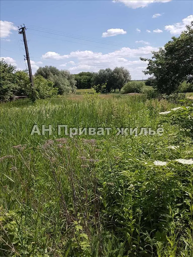 Окремий будинок в селі Бричківка