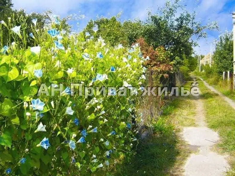 Дача на Вакуленцях