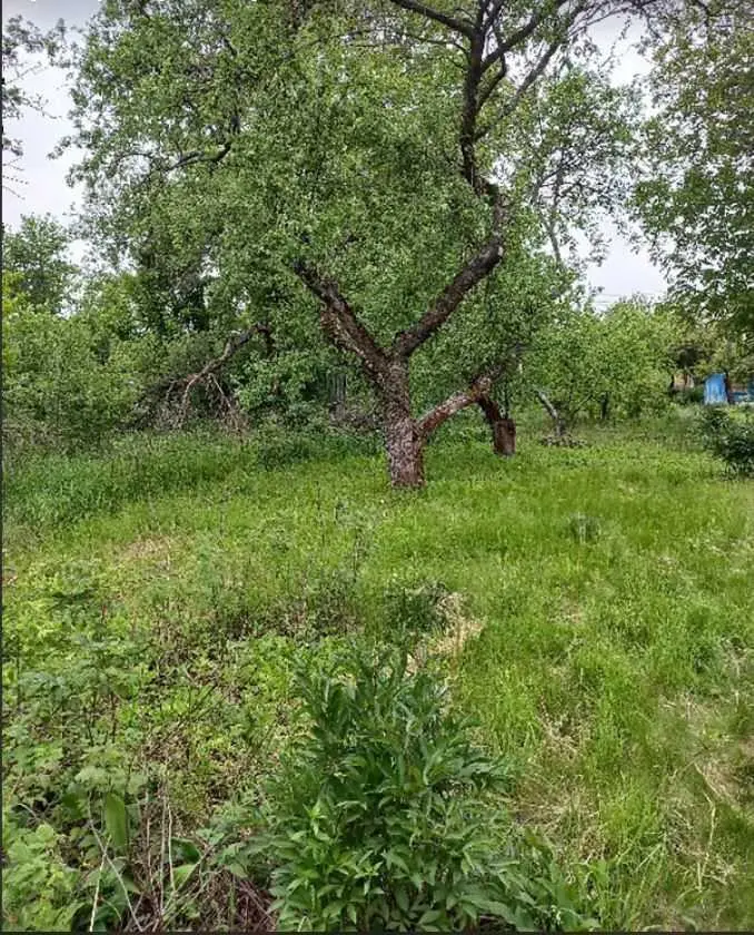 Дачний будинок в районі Автоагрегатного заводу.