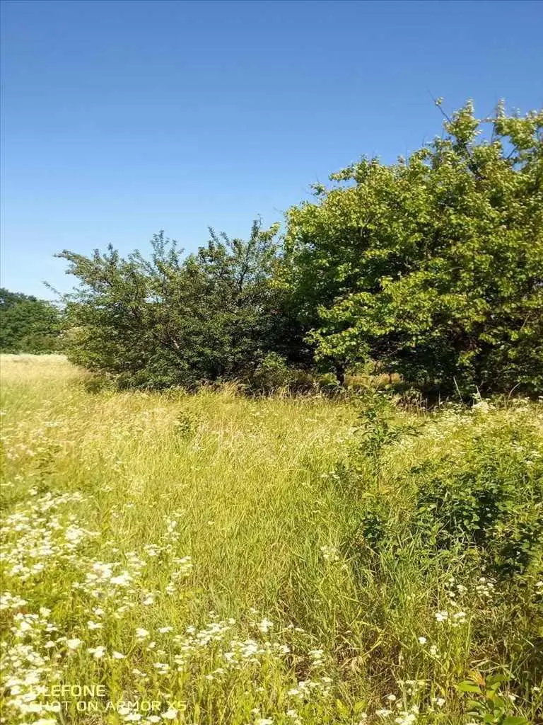 Земельна ділянка поруч з містом у с. Мачухи.