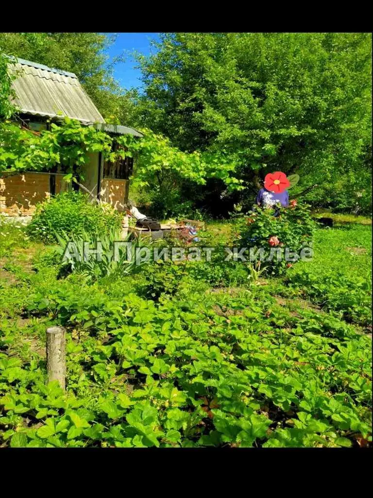 Дача на Вороніна