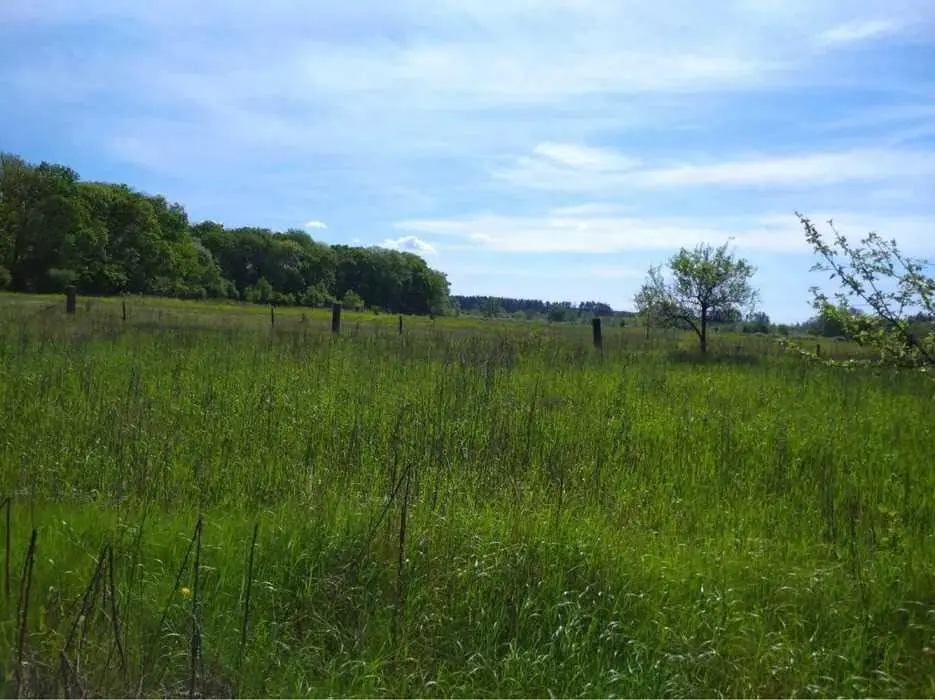 Дача в мальовничому місці!