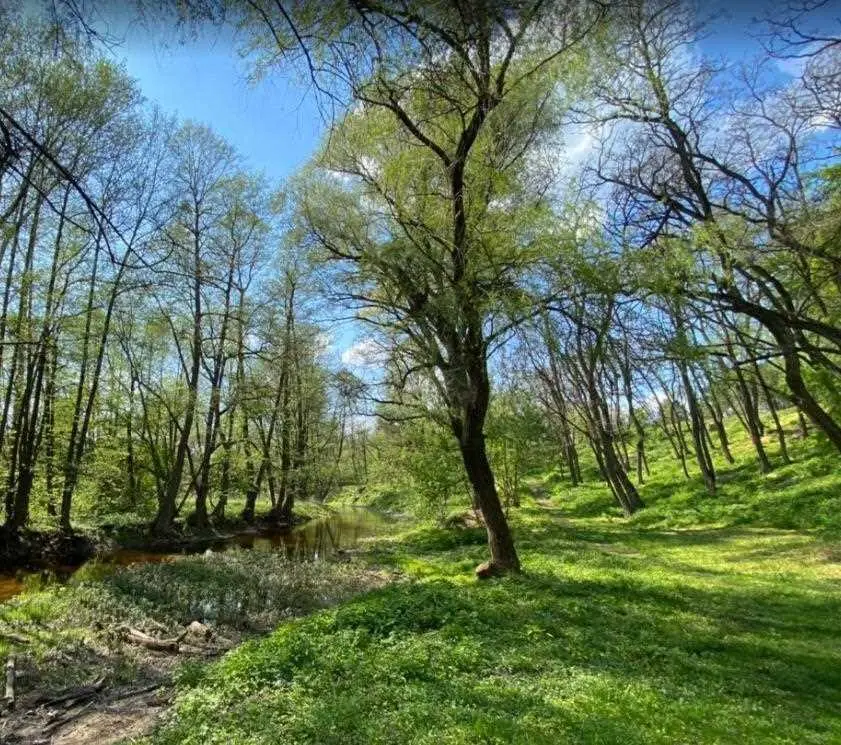 Чудова ділянка біля лісу в с  Буланово! 
