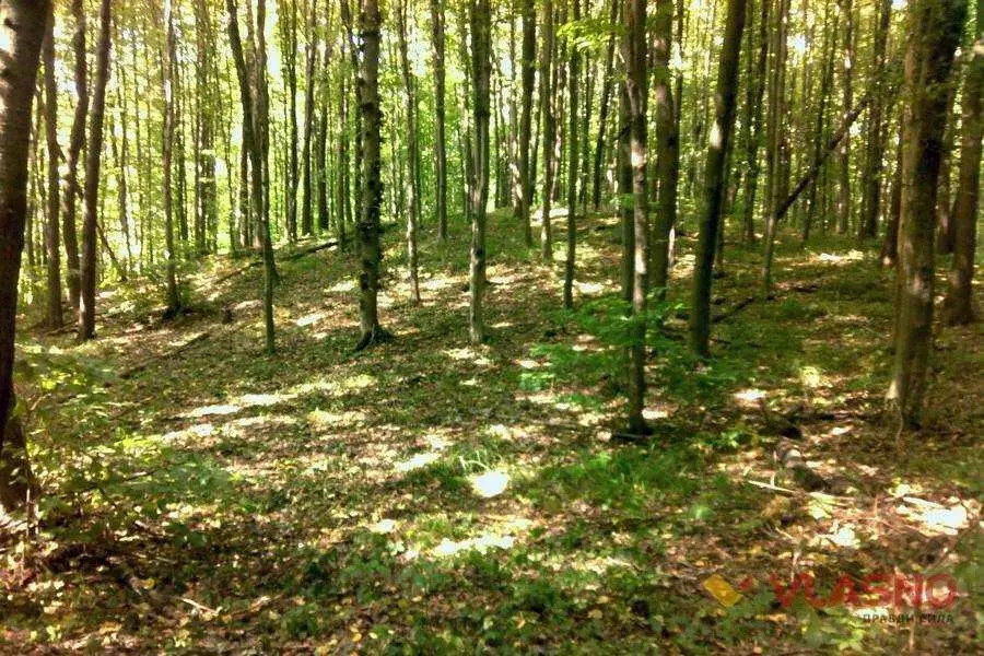 Чудова ділянка біля лісу в с  Буланово! 