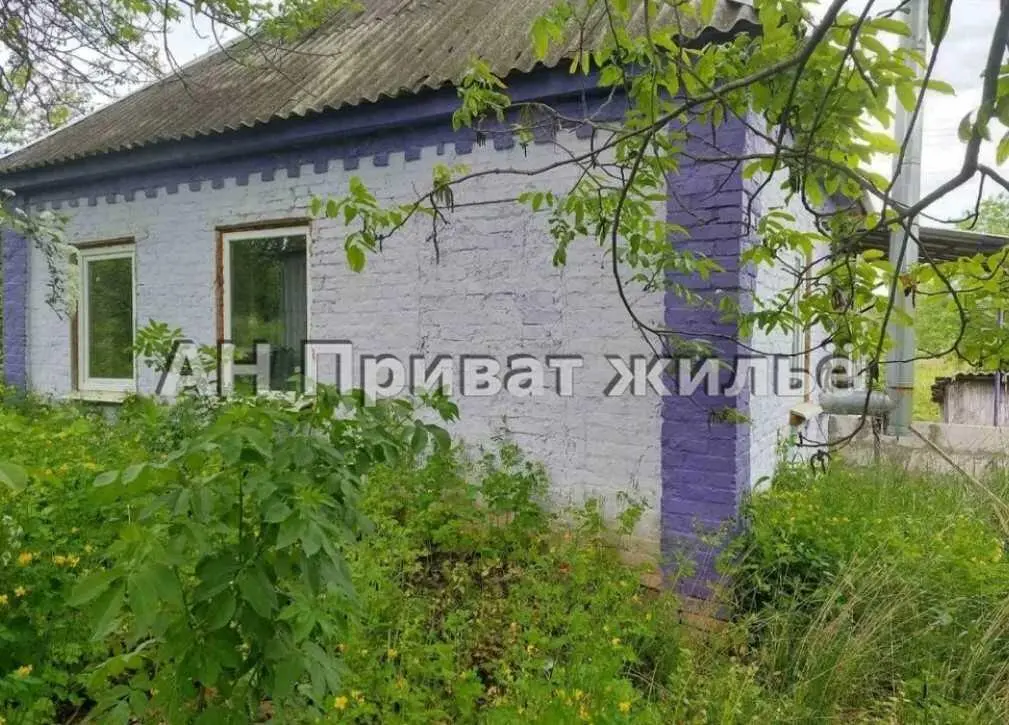 Будинок в Судіївці