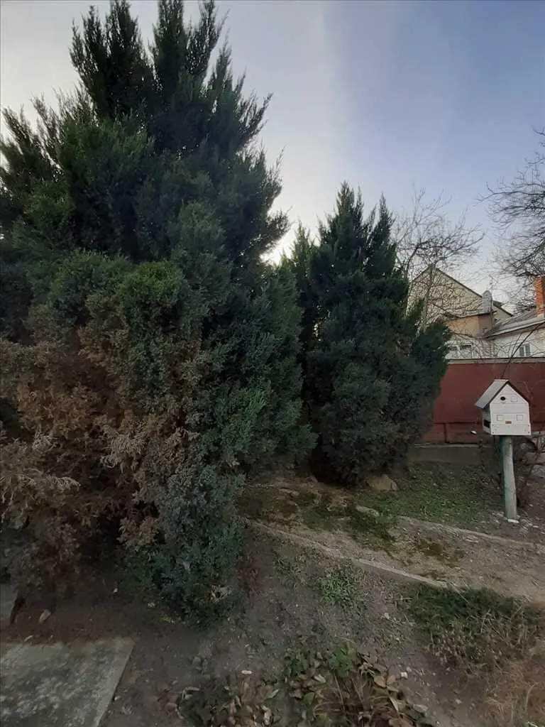 Атмосферна частина будинку в серці міста.