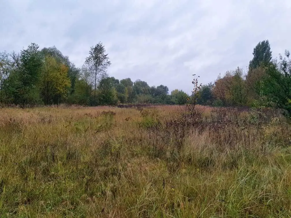 Ділянка для будівництва в тихому місці! 