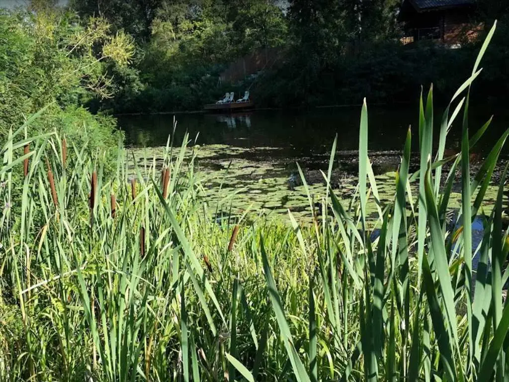 Ділянка поруч з річкою у Петрівці! 