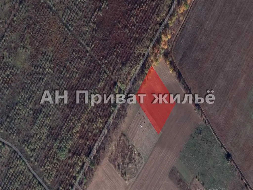 Ділянка 60 соток, Гожули