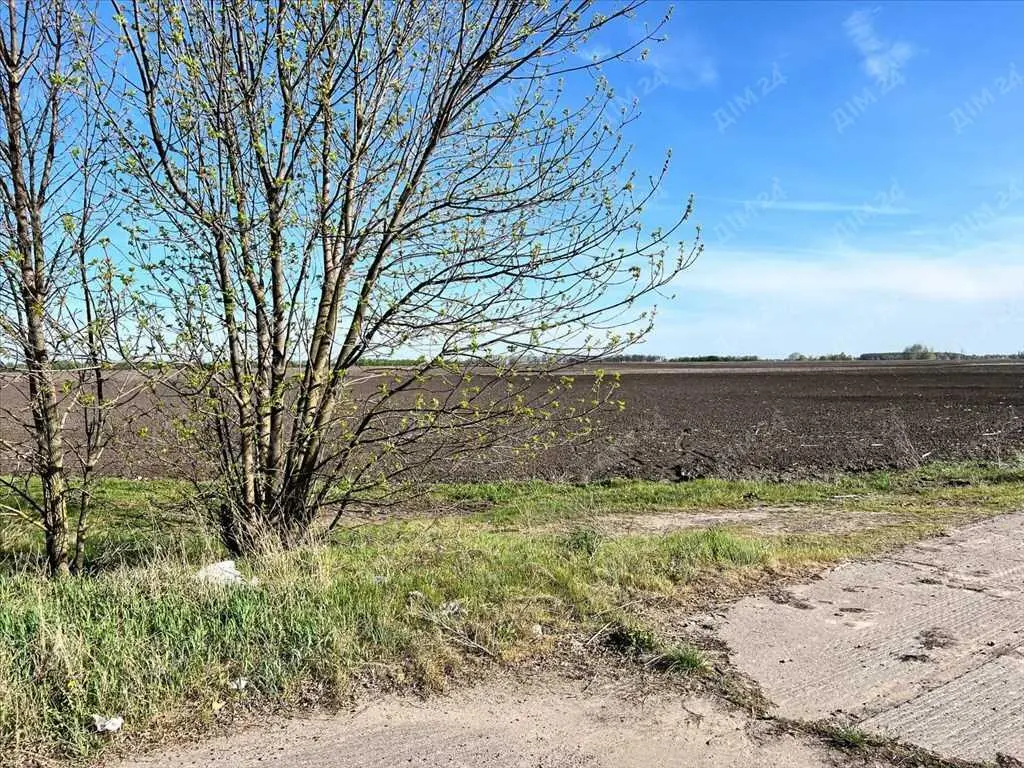 Ділянка 6 га вздовж траси Київ - Харків