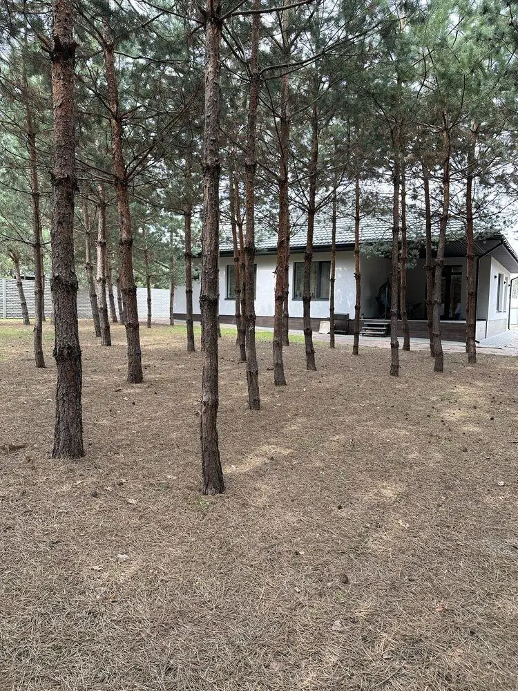 Будинок в лісі, збудовано для себе з розумом! 