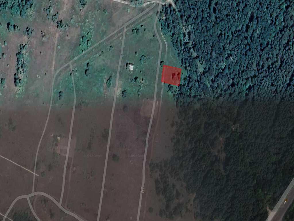 Ділянки поміж соснових насаджень, межа міста!