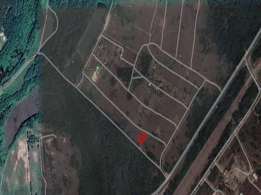 Ділянки поміж соснових насаджень, межа міста!