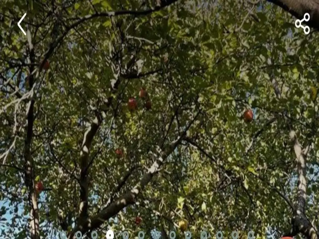 Ділянка в Вакуленцях!