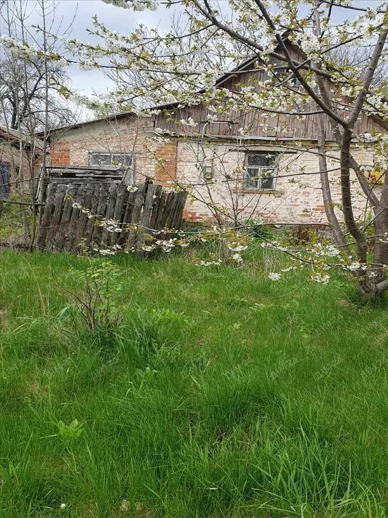 Дача в с.Вільховий Ріг 