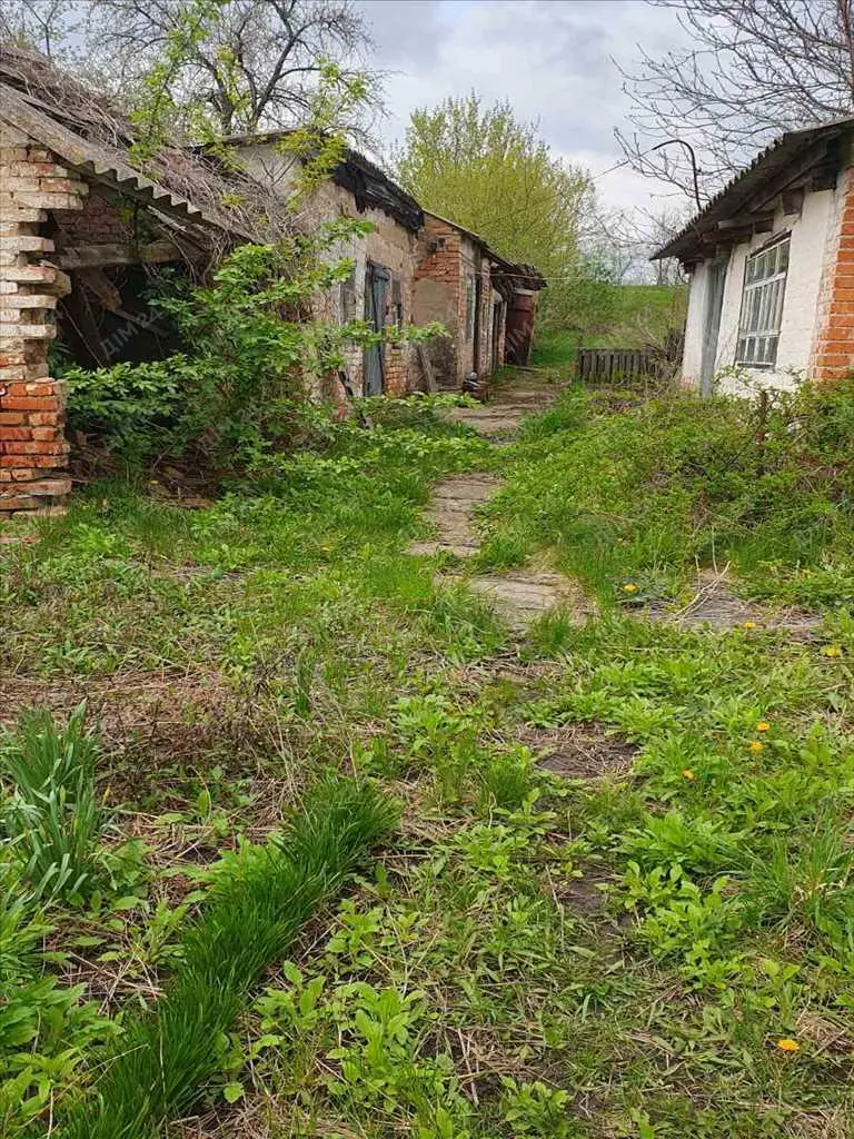 Дача в с.Вільховий Ріг 