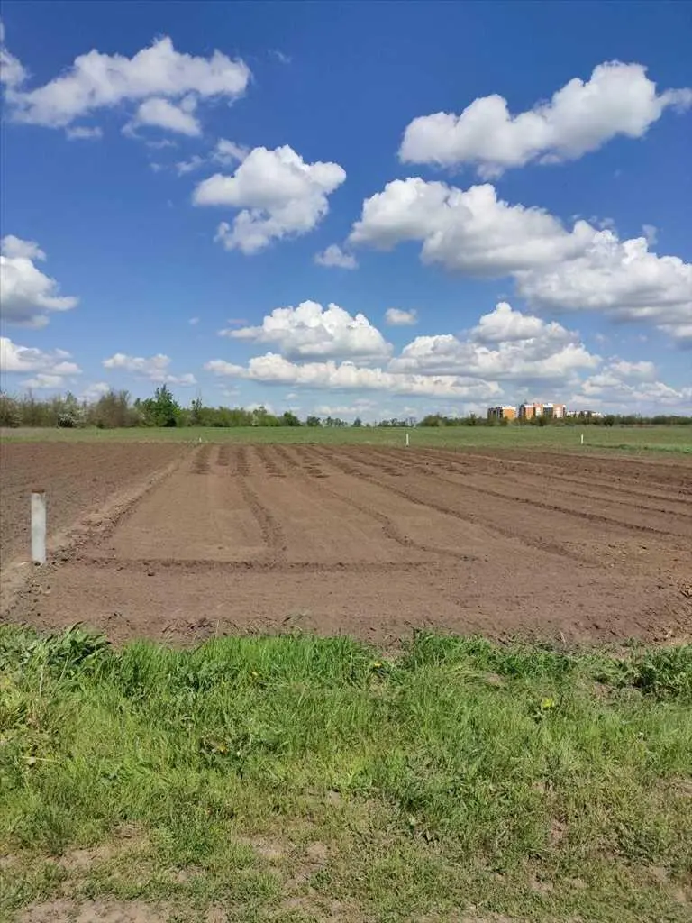 У продажу земельна ділянка в с. Розсошенці