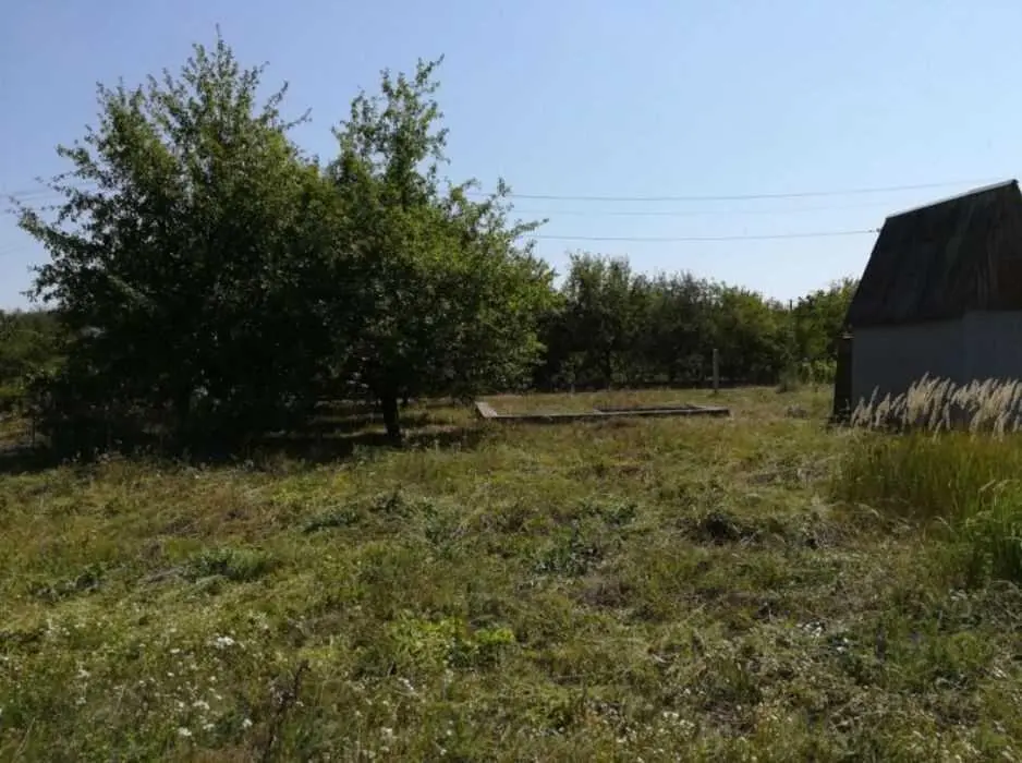 Терешки. Ділянка під садівництво. 