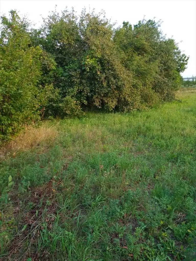 Ділянка для будівництва житлового будинку в с. Супрунівка