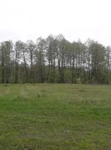 Продаж земельної ділянки в межах міста