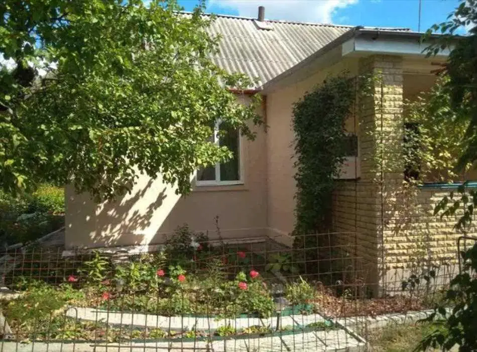 У продажу будинок в с.Патлаївка