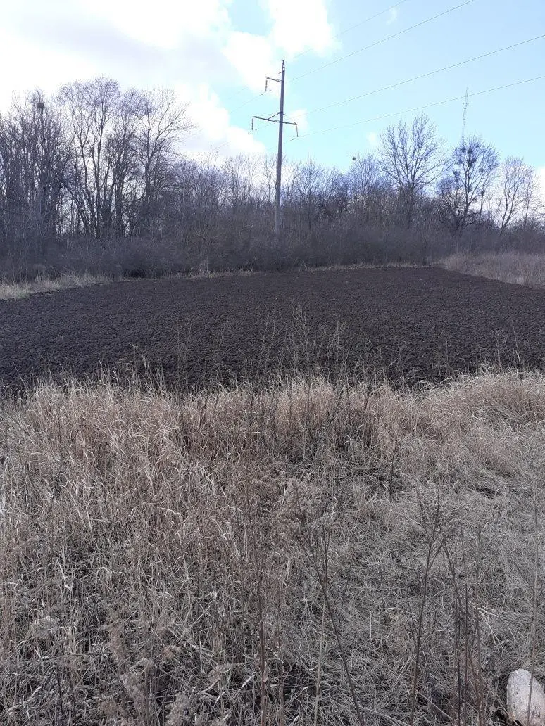 Продам земельну ділянку в Сем`янівці