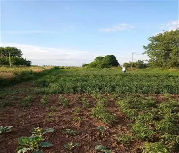  Продам будинок в с.Мильцях, 71 кв.м