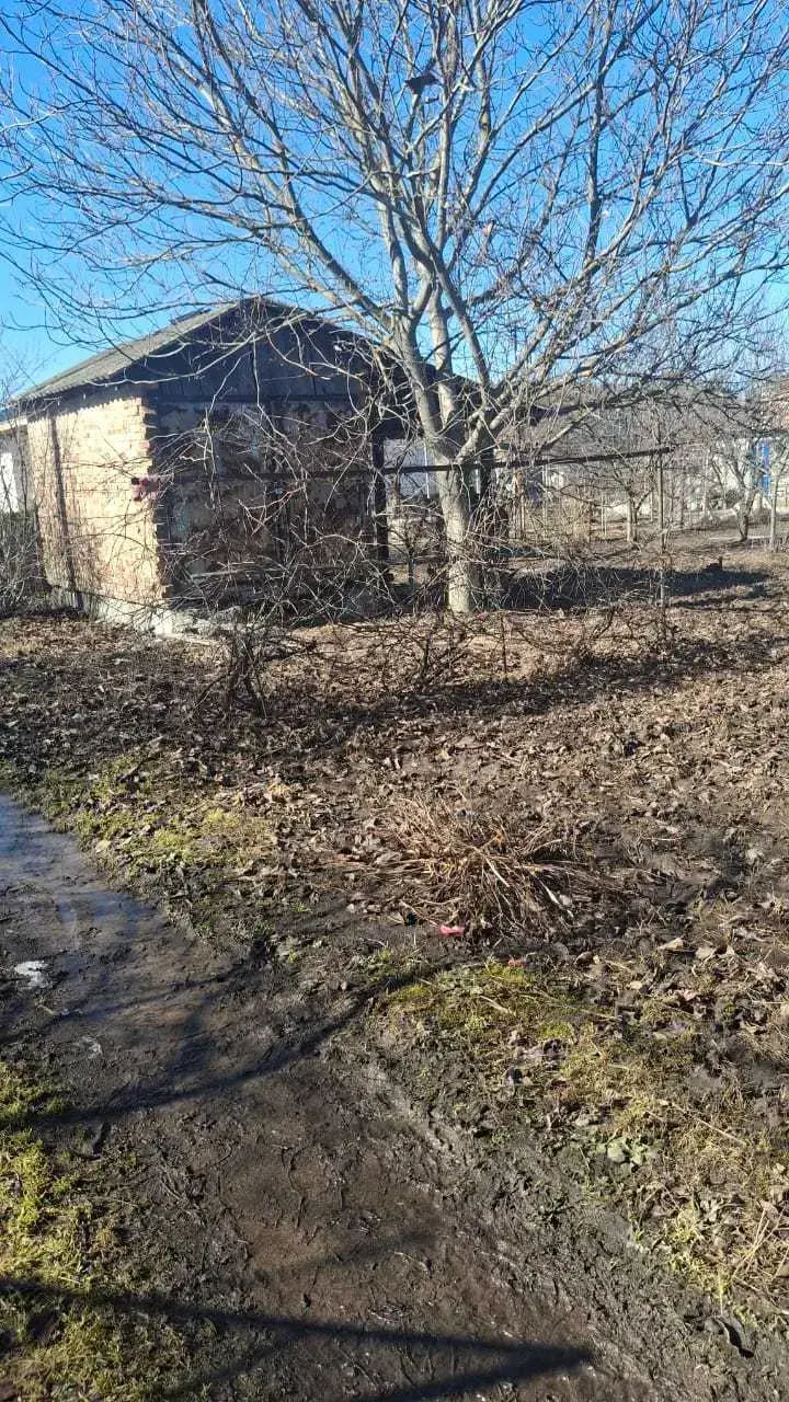 Гарна дачна ділянка