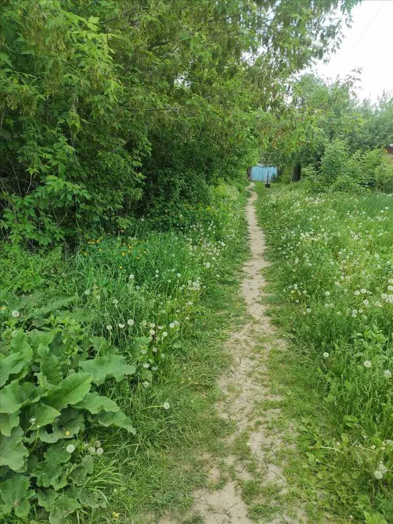 Червона лінія! Продаж будинку з просторою земельною ділянкою на Алмазному