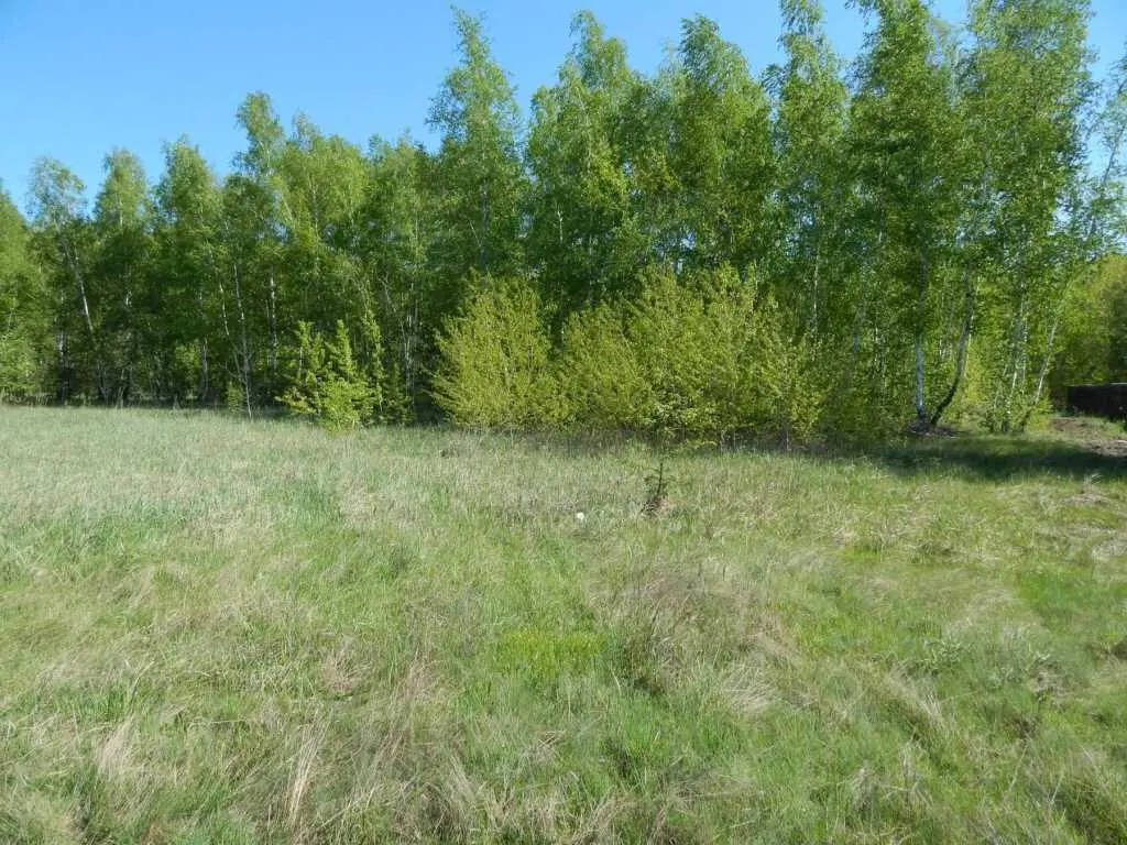  Пропонуємо земельну ділянку 10 с під житлову забудову в с.  Головач.