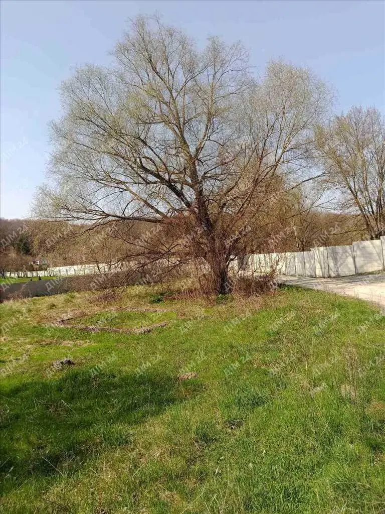 Ділянка біля річки