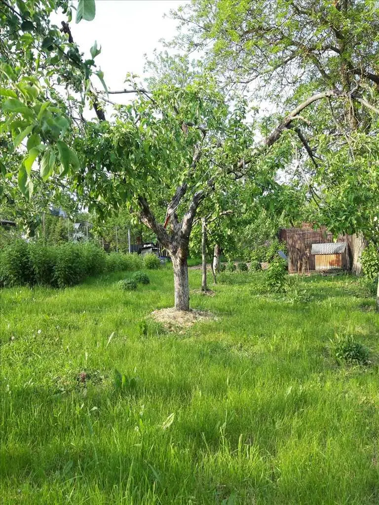 Продам окремий будинок в селі Мильці