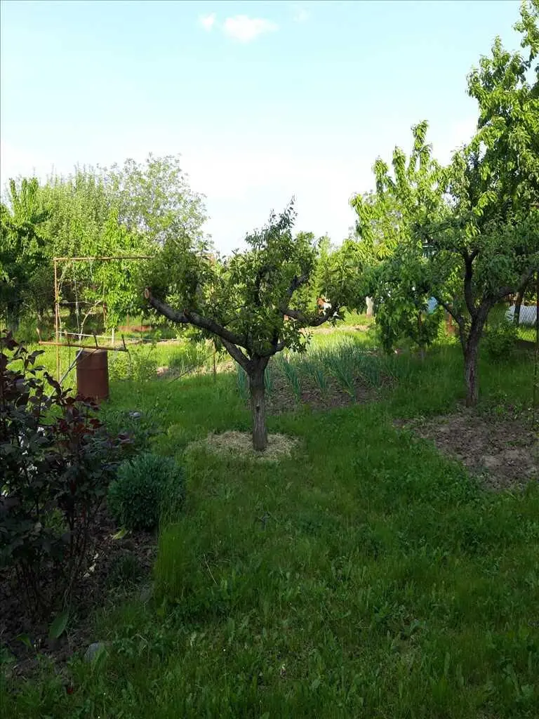 Продам окремий будинок в селі Мильці