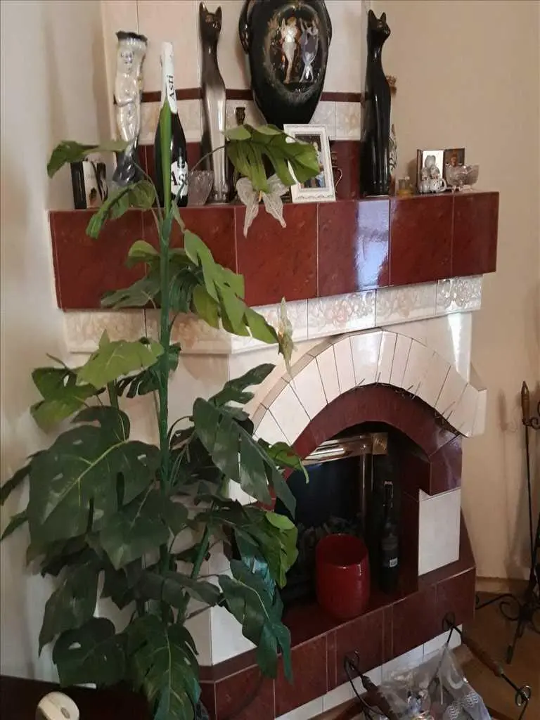 Продам окремий будинок в селі Мильці