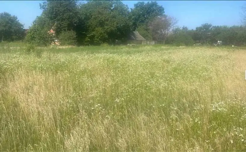 Ділянка в передмісті Полтави!