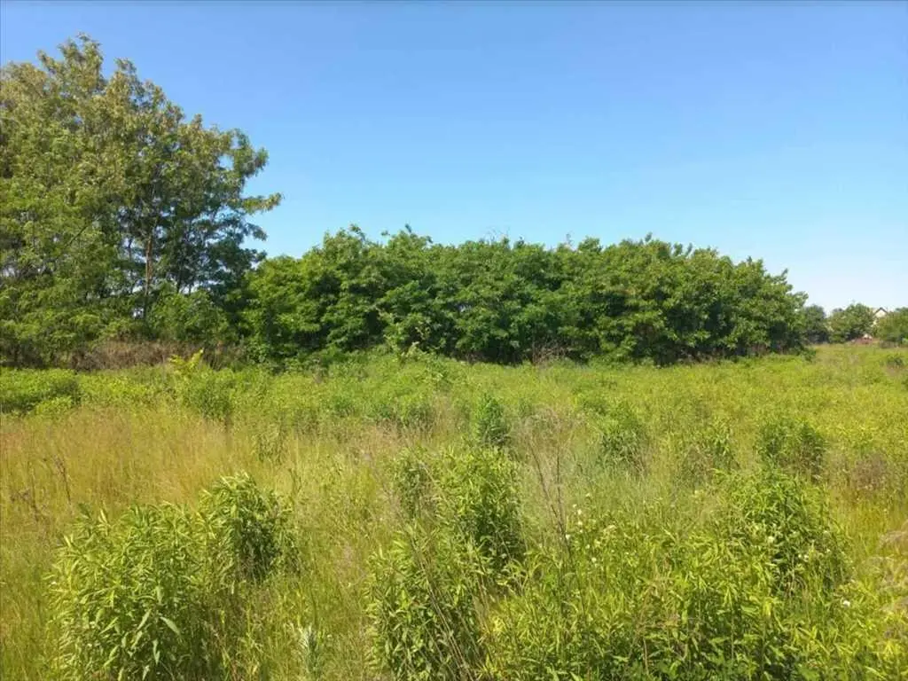 Ділянка на Новоселівка