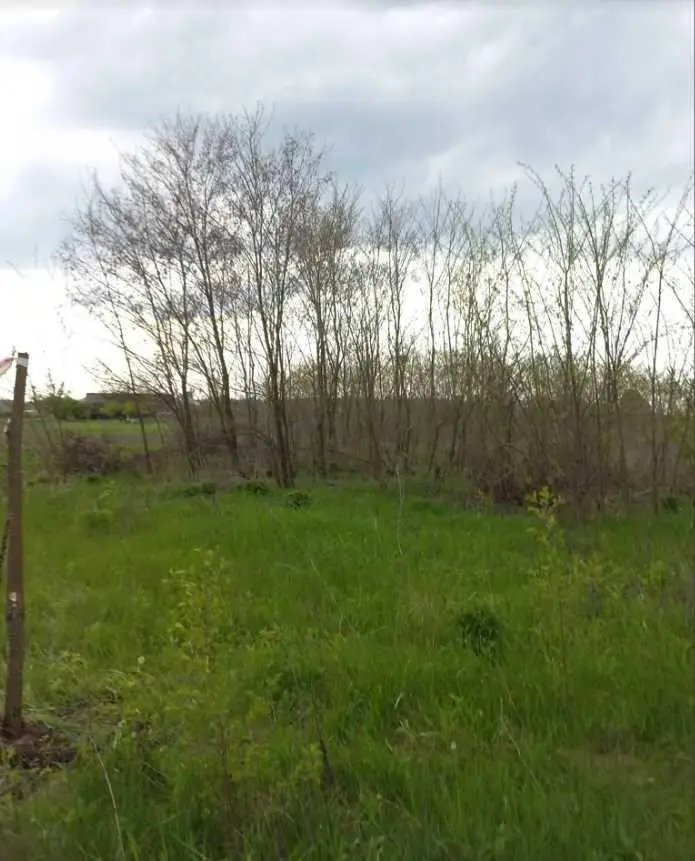 Ділянка на Новоселівка