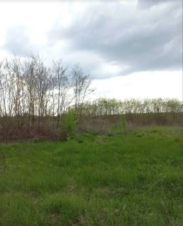 Ділянка на Новоселівка