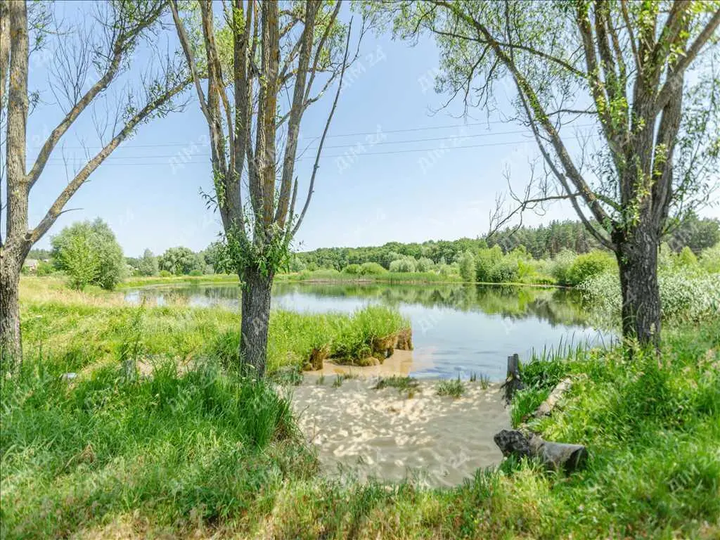 Земельна ділянка поруч з лісом та водоймою